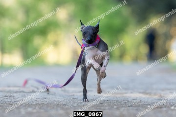 IMG_0867.jpg