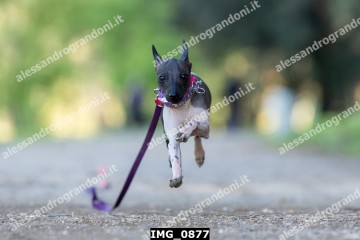 IMG_0877.jpg