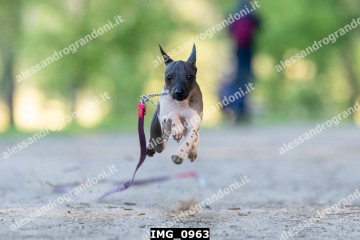 IMG_0963.jpg
