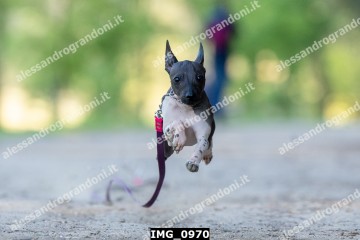 IMG_0970.jpg