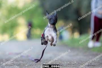 IMG_0986.jpg