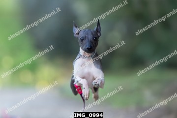 IMG_0994.jpg