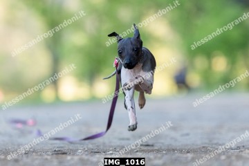 IMG_1016.jpg
