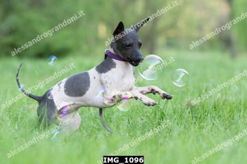 IMG_1096.jpg