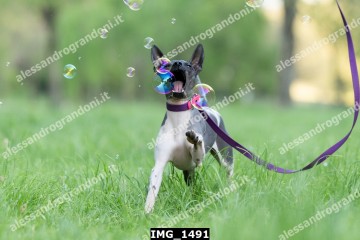 IMG_1491.jpg
