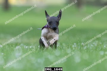 IMG_1649.jpg