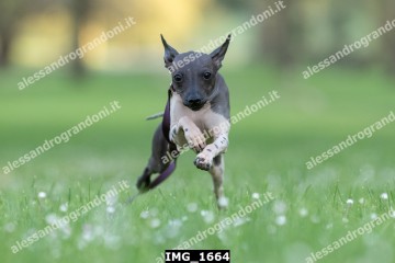 IMG_1664.jpg