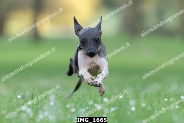 IMG_1665.jpg