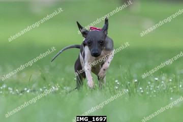 IMG_1697.jpg