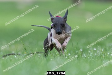 IMG_1704.jpg