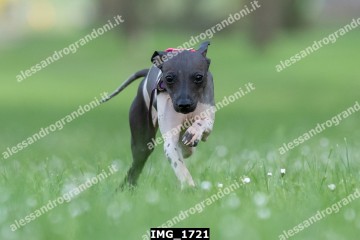 IMG_1721.jpg
