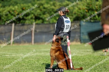 IMG_0025.jpg