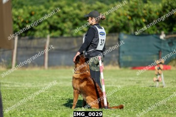 IMG_0029.jpg