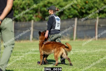 IMG_0036.jpg