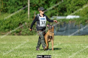 IMG_0055.jpg