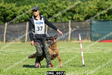 IMG_0072.jpg