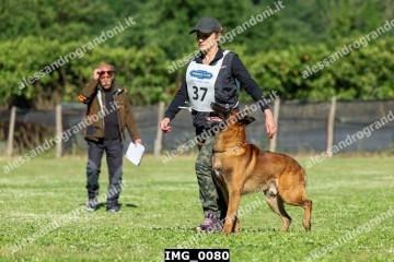 IMG_0080.jpg