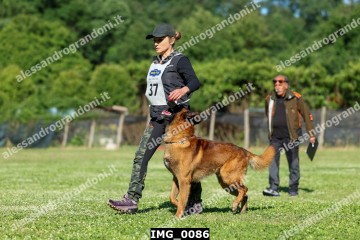 IMG_0086.jpg