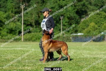 IMG_0097.jpg