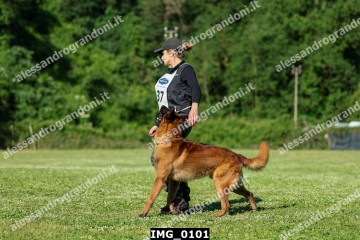 IMG_0101.jpg