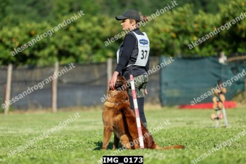 IMG_0173.jpg