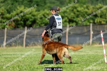 IMG_0186.jpg