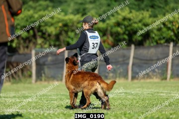 IMG_0190.jpg
