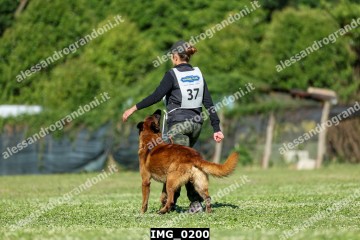 IMG_0200.jpg