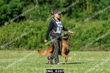 IMG_0207.jpg