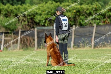 IMG_0215.jpg