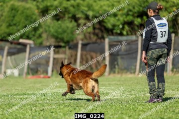 IMG_0224.jpg