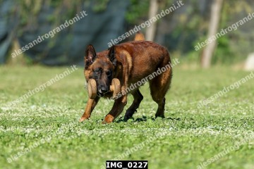 IMG_0227.jpg
