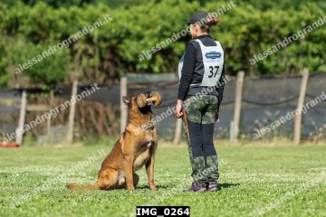 IMG_0264.jpg