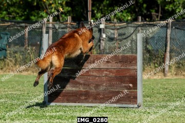 IMG_0280.jpg