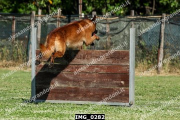 IMG_0282.jpg