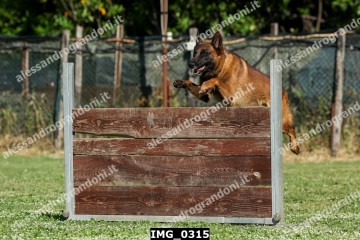 IMG_0315.jpg