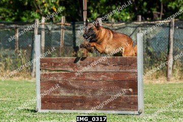 IMG_0317.jpg