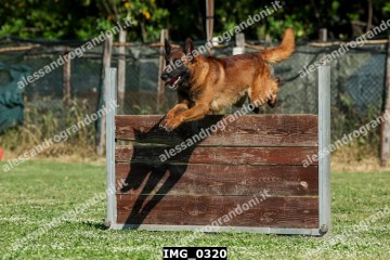IMG_0320.jpg