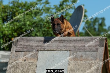 IMG_0342.jpg
