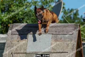 IMG_0346.jpg