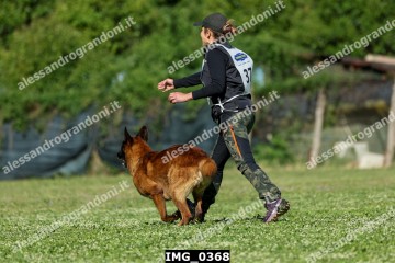 IMG_0368.jpg