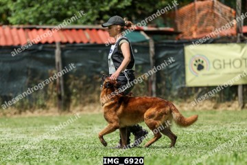 IMG_6920.jpg