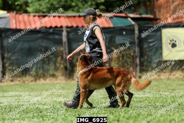 IMG_6925.jpg