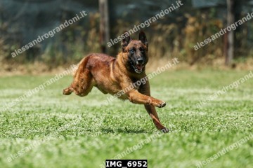 IMG_6952.jpg