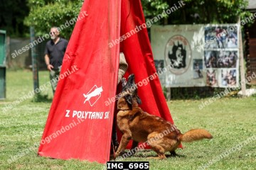 IMG_6965.jpg