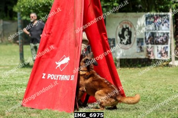 IMG_6975.jpg
