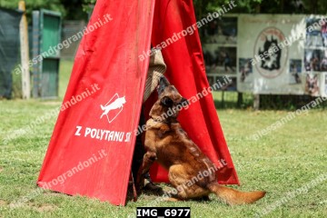 IMG_6977.jpg