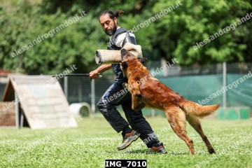 IMG_7010.jpg