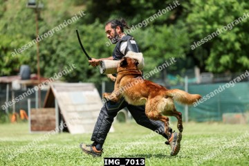 IMG_7013.jpg