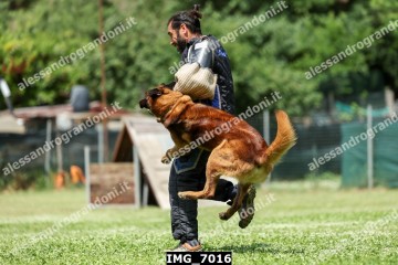 IMG_7016.jpg